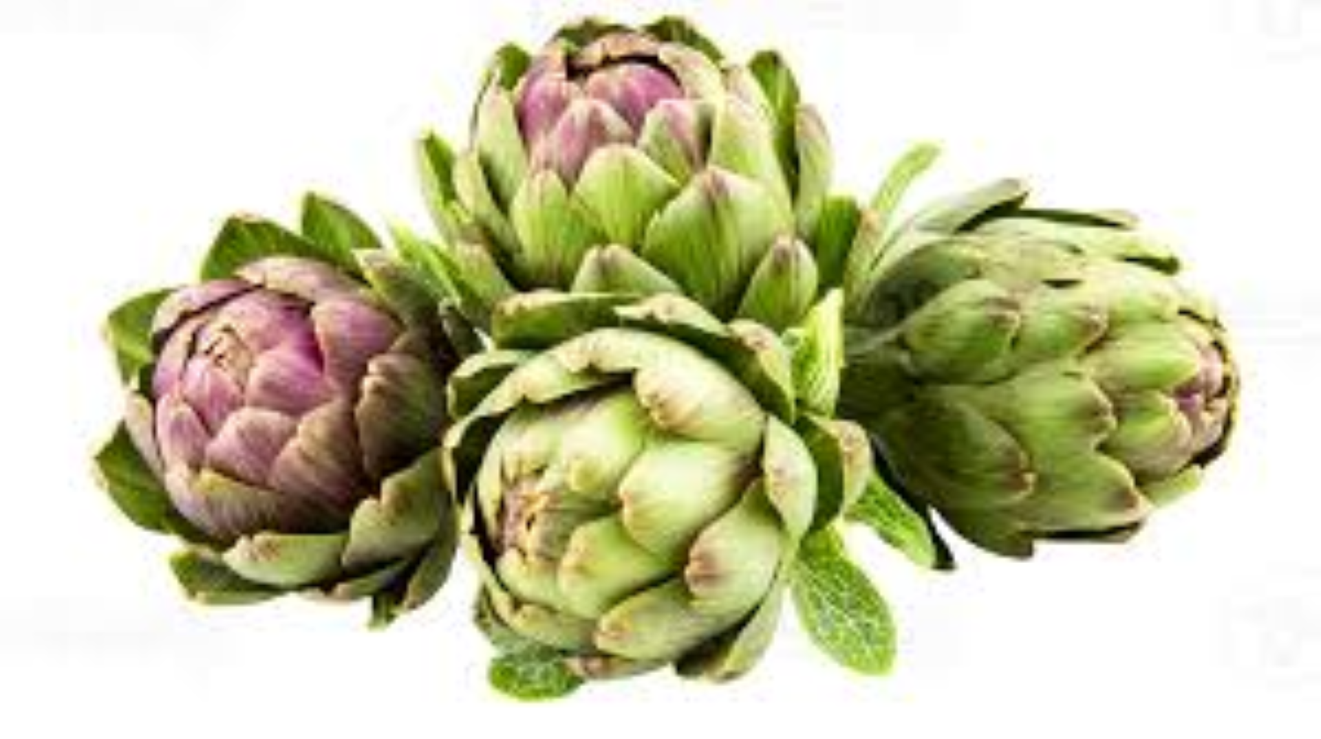 FRESH ARTICHOKES